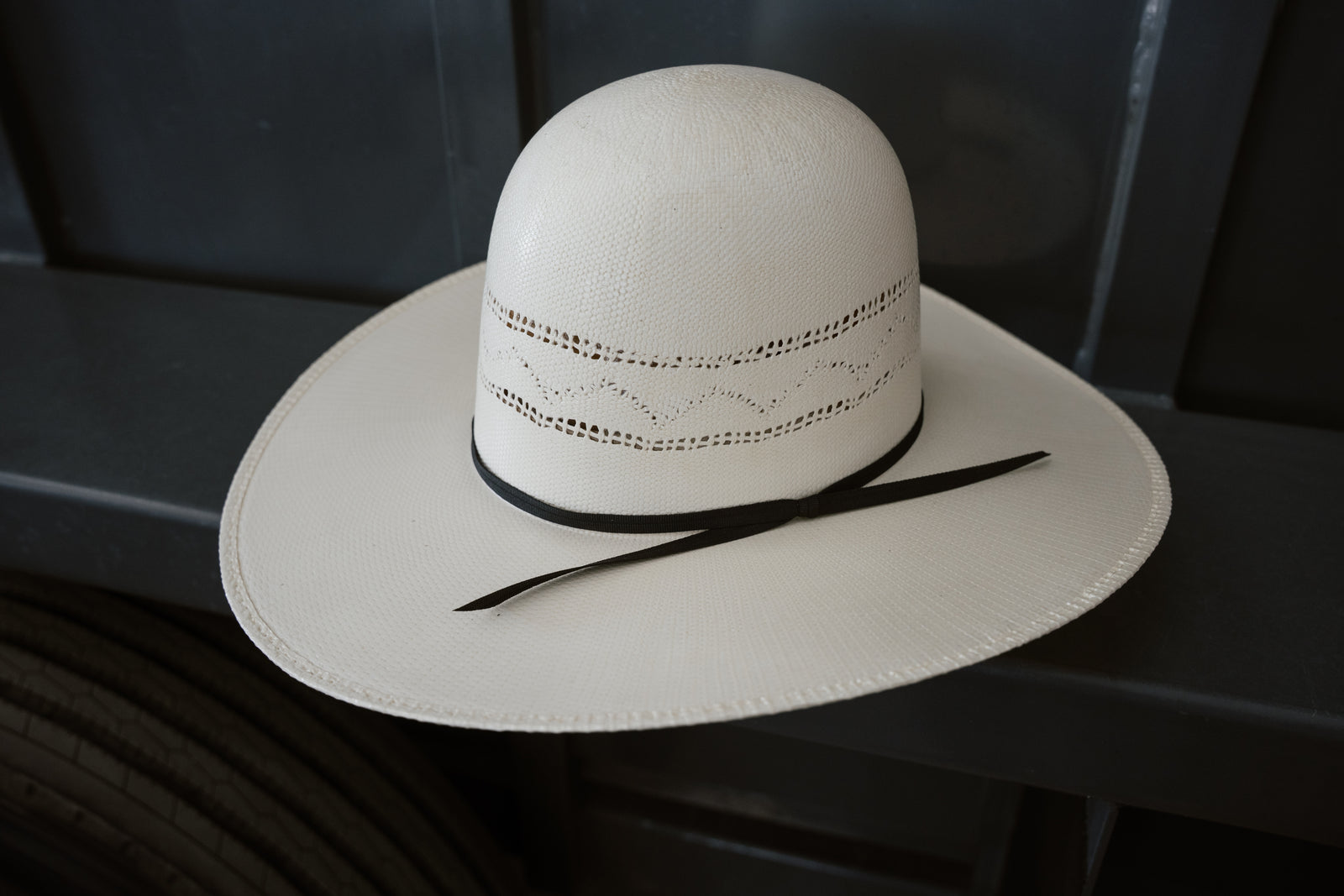 Double R 'Paloma' 4 1/4"