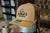 Classic Caps