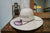 American Hat Co. 7700 4 1/2"