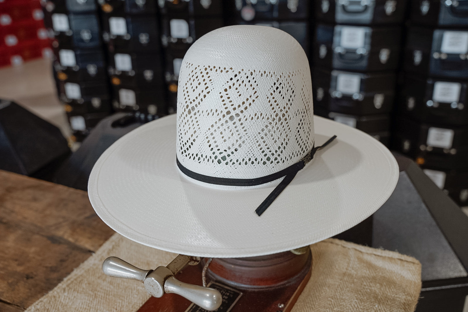 Bailey 'Blackwood' 4 1/4"